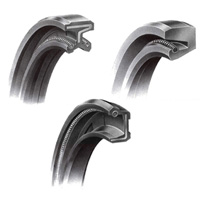 Oil Seals