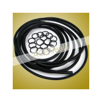O Ring / O Ring Kit