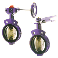 Butterfly Valve