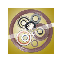 Oil Seal