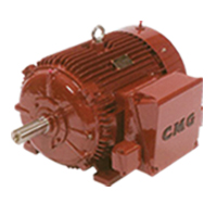 AC Induction Motor