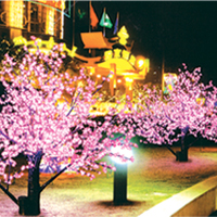 LED Cherry Lights