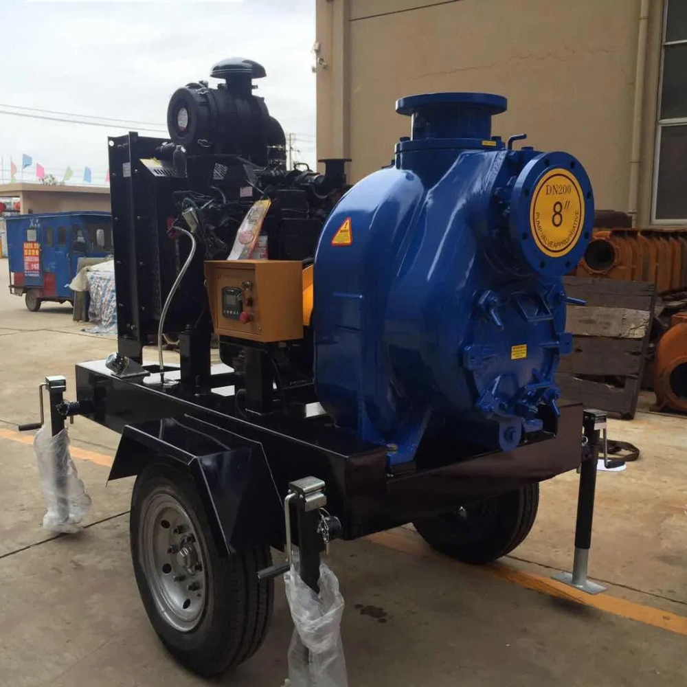 30 Inch Diesel Water Pump Sales & Rental in Johor