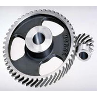Spur Gear