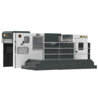 Automatic Diecutting & Stripping