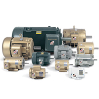 AC Motor Family