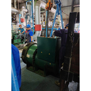 Alternator Service