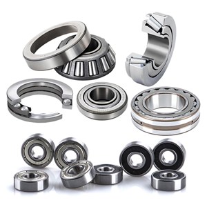 Bearing For Conveyor Systems
