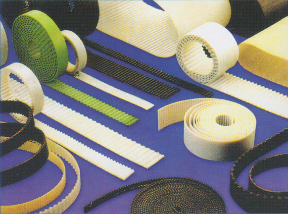 Belt