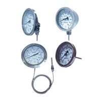 Bi-Metal Dual Thermometer