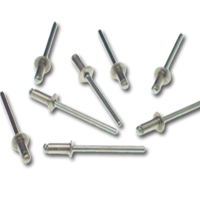 Blind Rivet