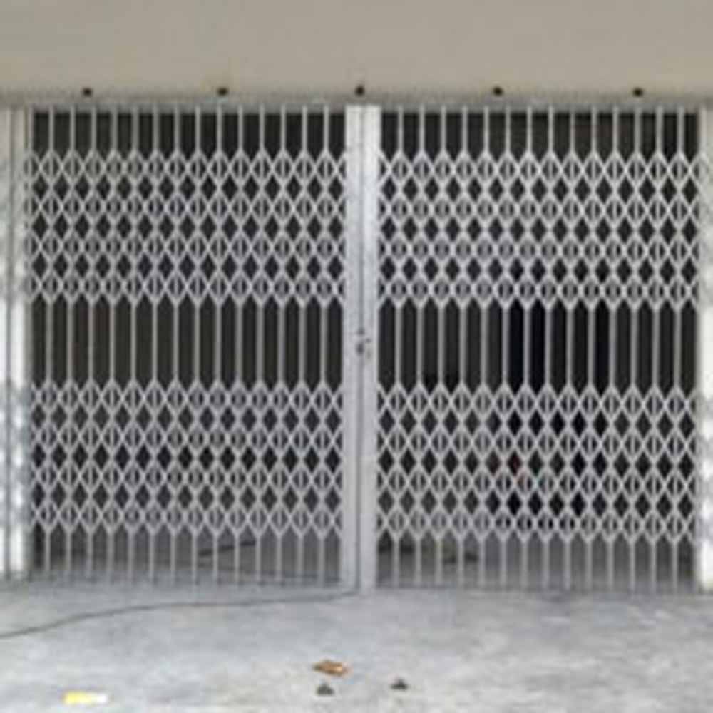 Collapsible Door