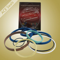 Cylinder Repair Kit