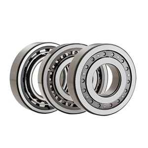 Cyrindrical Roller Bearing