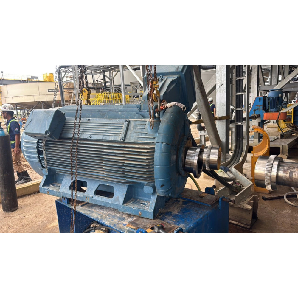 Electric Motor Bearing Repair