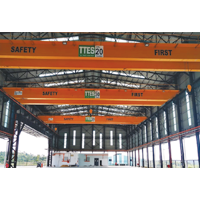 Electric Overhead Travelling Crane (EOTC)