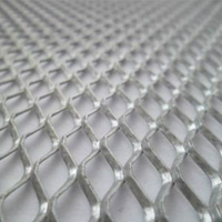 Expanded Mesh