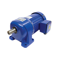 Gear Motor