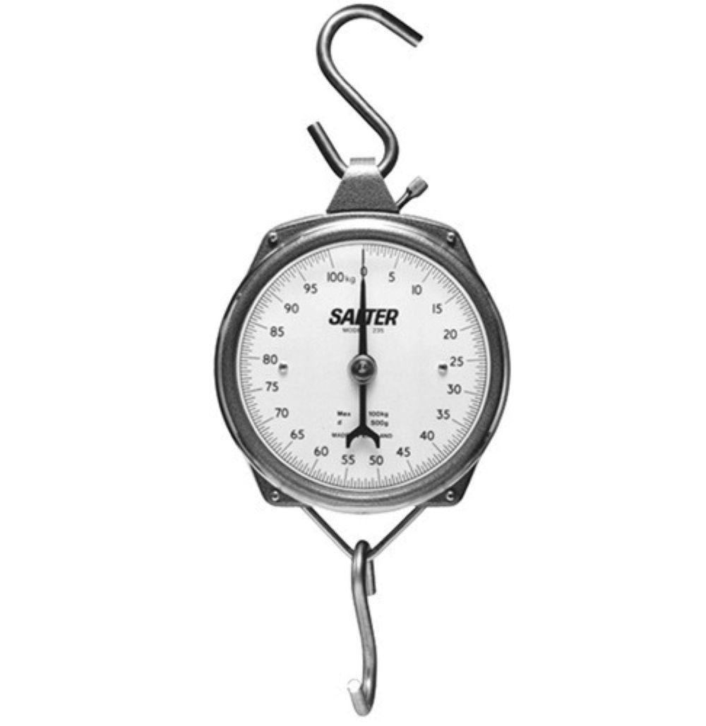 Hanging Scale