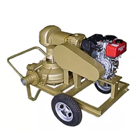 KEWPUMP DP Diaphragm Pump