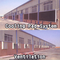 KOLOWA FRP Box Fan And Cooling System