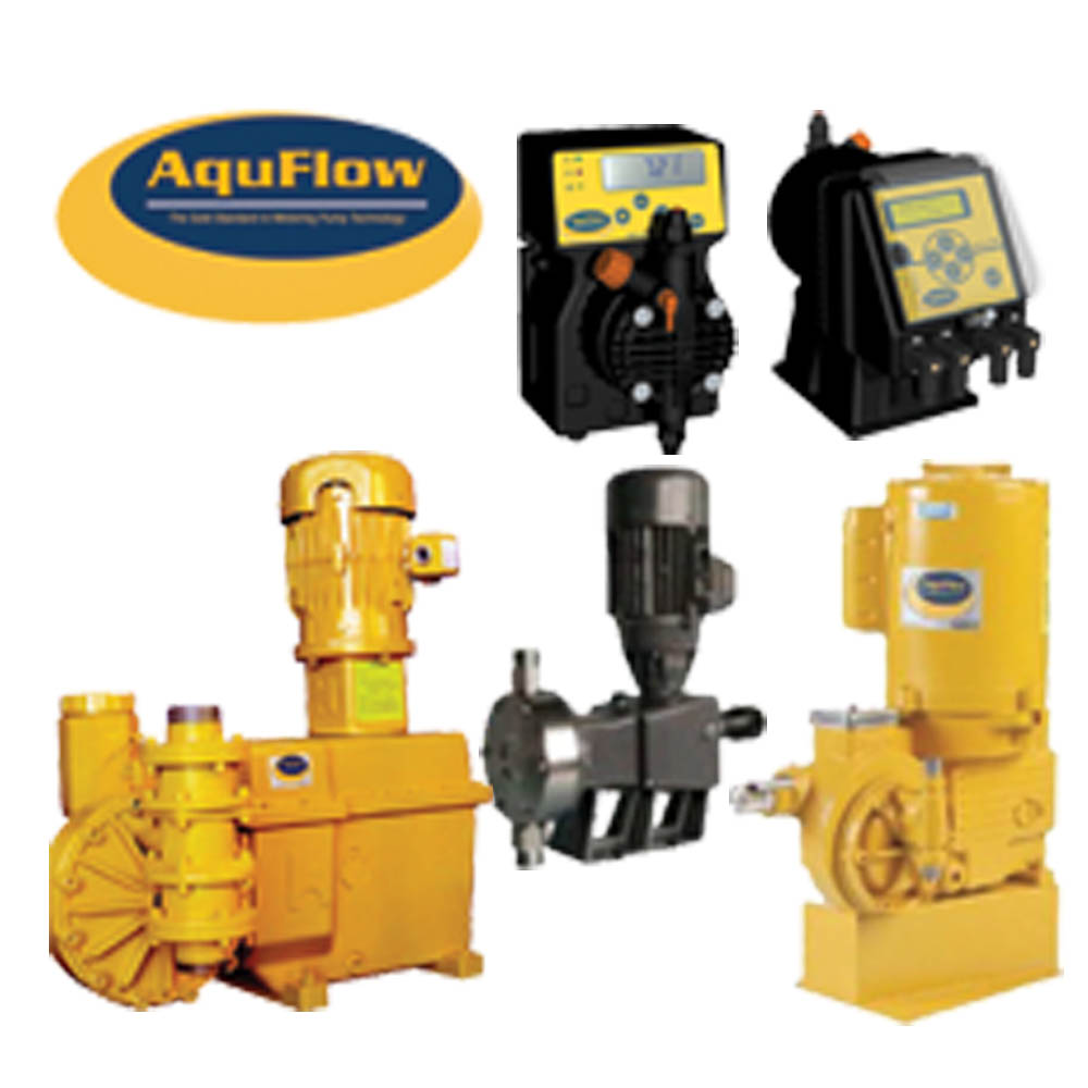 Metering Pumps & Systems