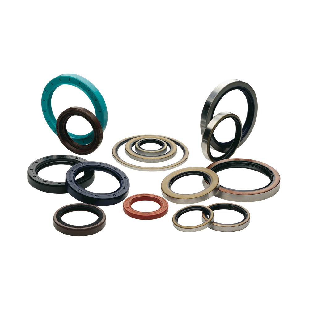 Oil Seal