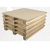 Paper Pallet