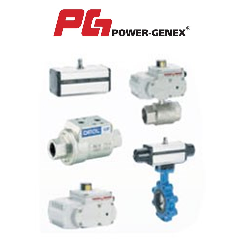 Pneumatic Actuator