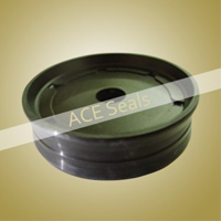 Pneumatic Seal
