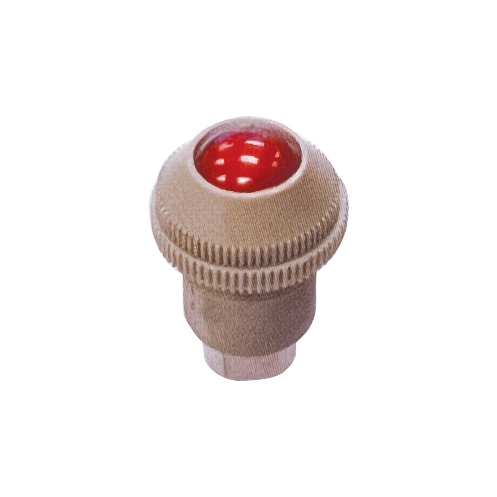 Pneumatic Valve