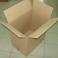 Regular Slotted Cartons