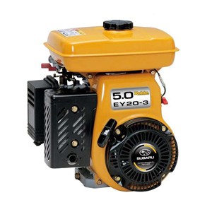 Robin  Petrol Engine