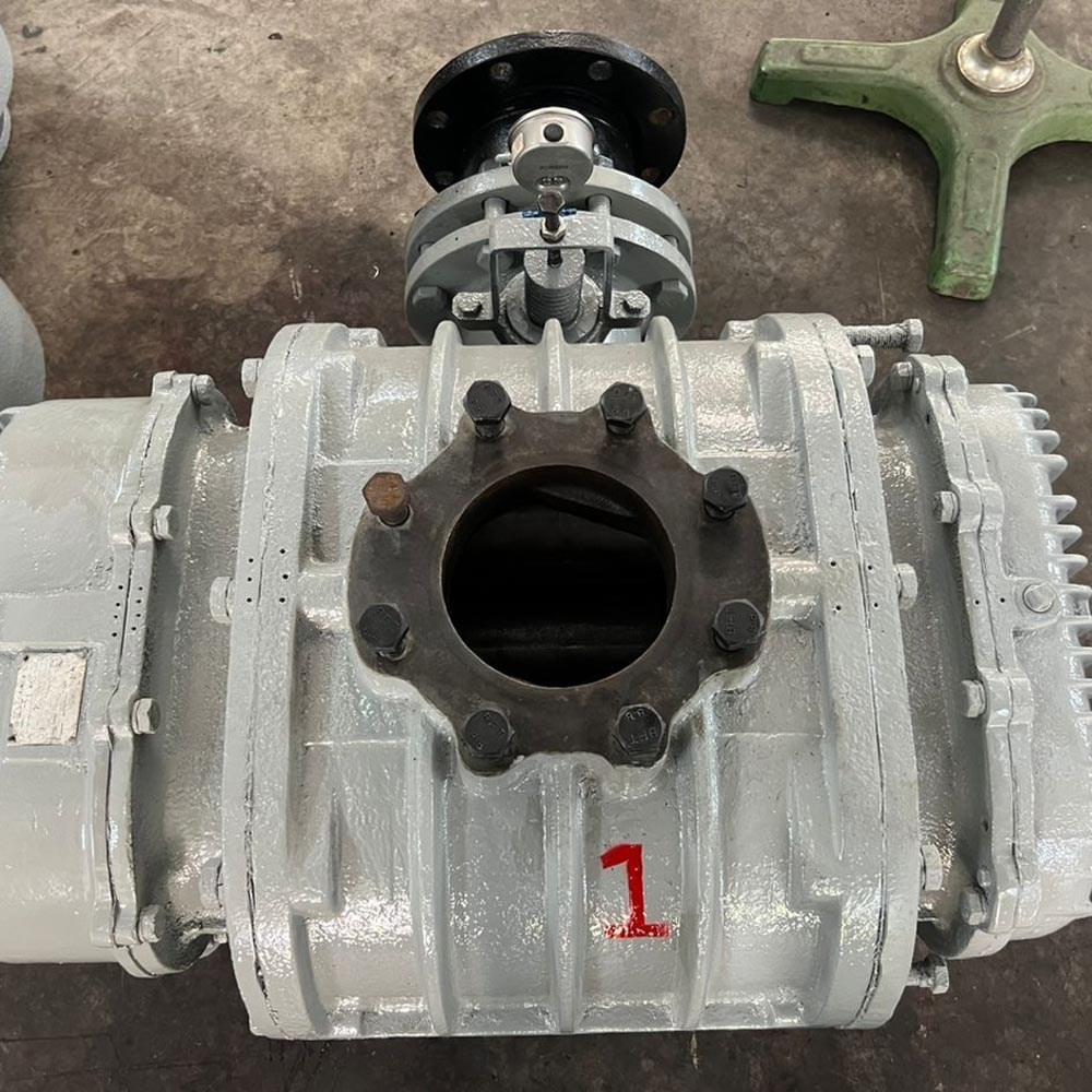 Roots Blower Repair