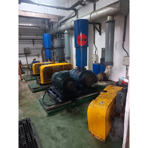 Roots Blower Repair