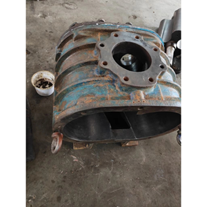 Roots Blower Repair