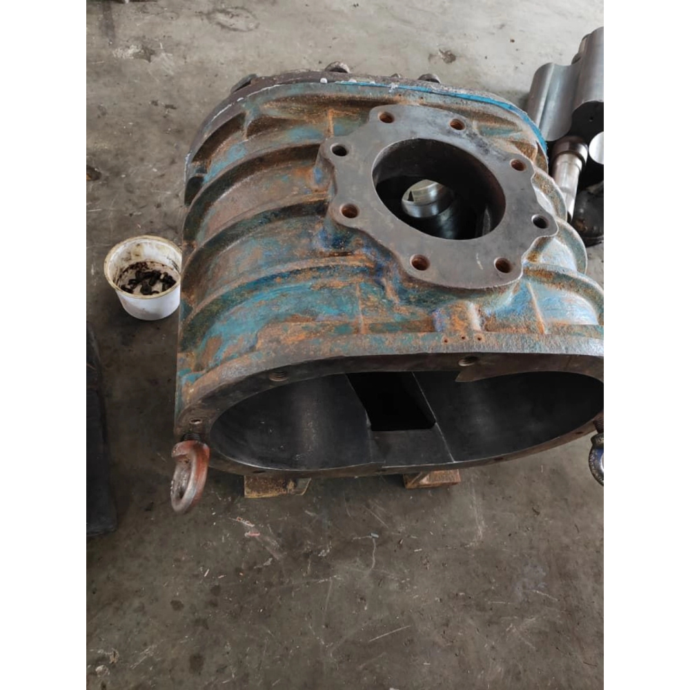 Roots Blower Repair