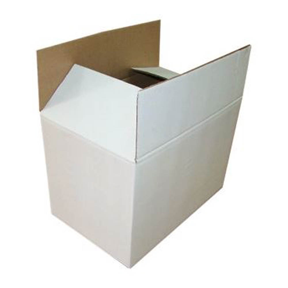 White Regular Slotted Carton Box